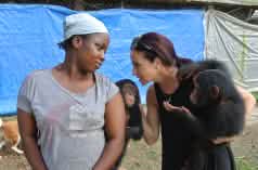 Rifugio per scimpanzé vicino a Monrovia, Liberia