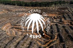 Collage con il sigillo RSPO su un'area di foresta pluviale deforestata: da qui si evince come i consumatori sono stati ingannati per 19 anni.
