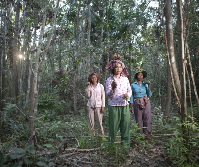 Tre donne indigene in difesa della foresta