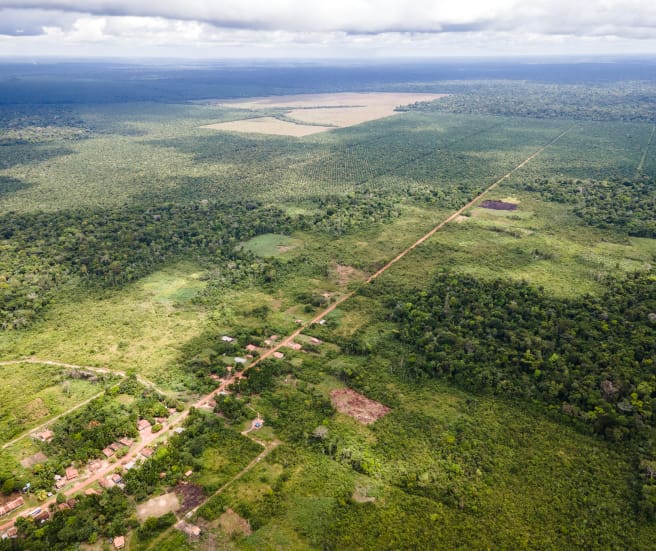 Veduta aerea di una piccola comunità lungo una strada rettilinea, sullo sfondo le piantagioni di palma da olio avanzano e riducono la foresta pluviale.