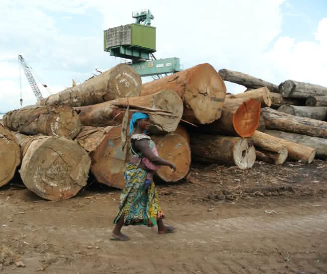 Mucchi di tronchi nel porto di Kinshasa