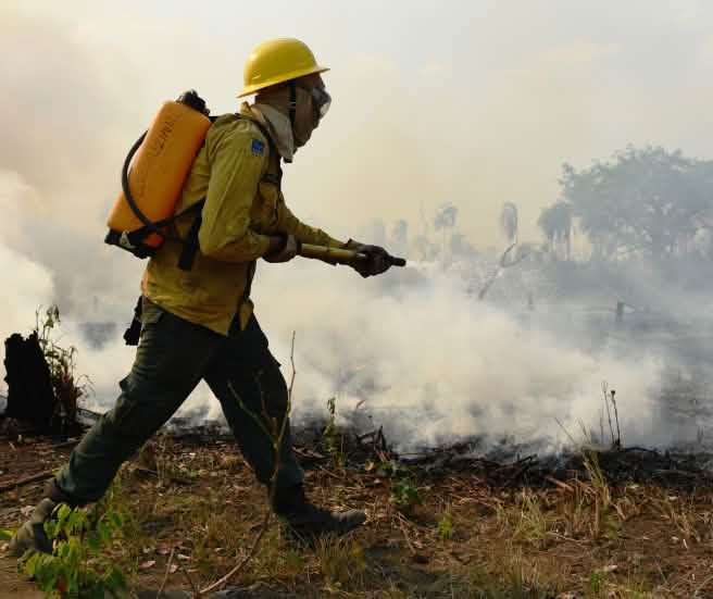 Le pompe a zaino dorsali sono indispensabili per lottare contro gli incendi nelle vaste aree di foresta tropicale di difficile accesso