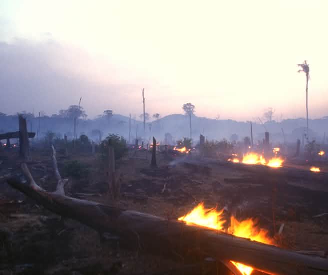 Incendio forestale in Brasile