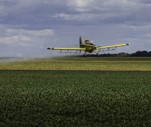 Irrorazione aerea di pesticidi sulle monocolture di soia