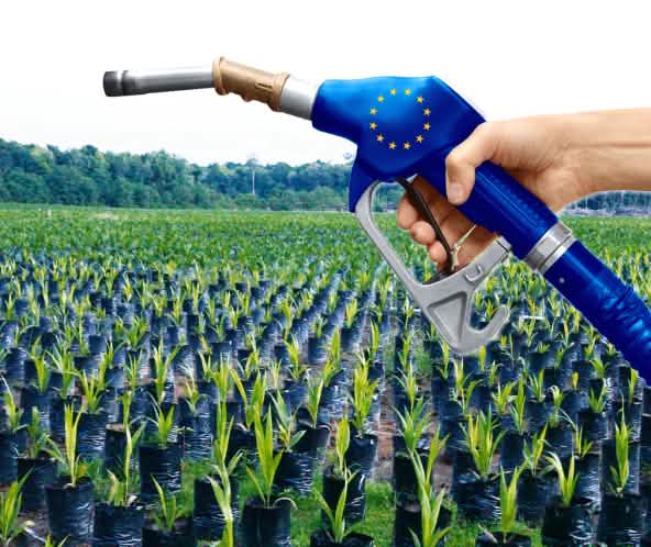 Olio di palma, biocarburante della UE