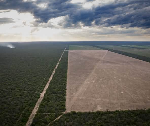 Veduta aerea della deforestazione di una vasta area di foresta nativa nella provincia del Chaco, in Argentina.