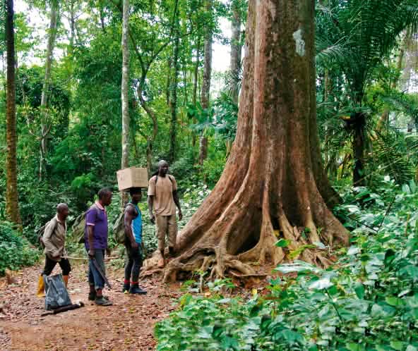 Guardiani ambientali nella foresta di Cross River, Nigeria