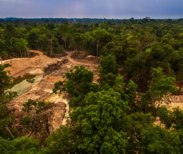 Una miniera d'oro illegale nella foresta tropicale