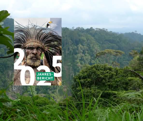 Rapporto annuale 2025, titolo su sfondo di foresta