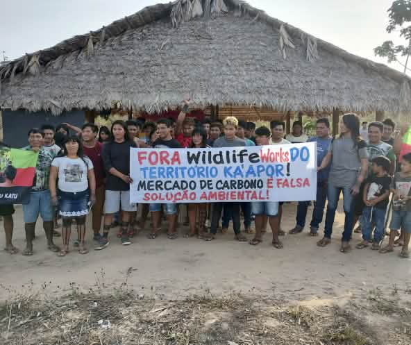 Più di 30 indigeni Ka'apor si trovano davanti a una casa tradizionale con pilastri di legno e tetto di paglia. Le persone reggono uno striscione di protesta che recita: "Wildlife Works fuori dal territorio Ka'apor! Il mercato del carbonio è un falso sole