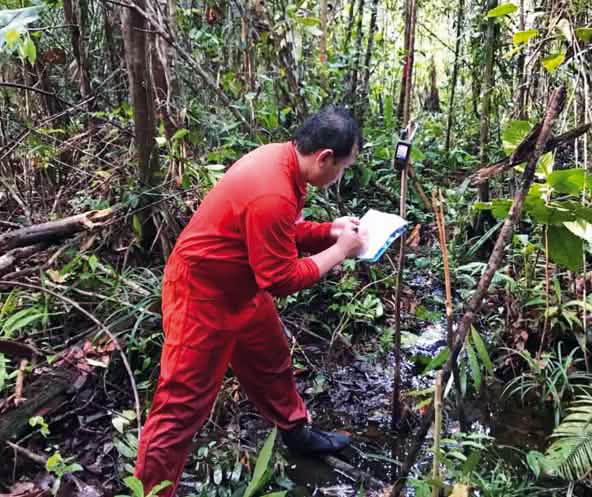Matek nel processo di mappatura in una foresta di torbiera