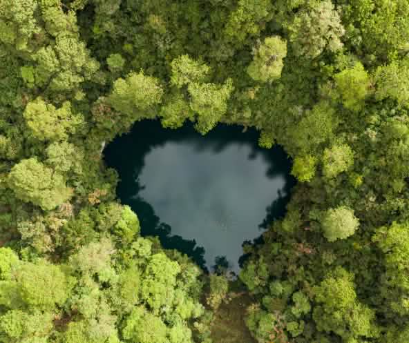 Una laguna a forma di cuore dalle acque scure circondata da una fitta selva verde; vista dall’alto si distingue chiaramente il contrasto tra l’acqua e la foresta.