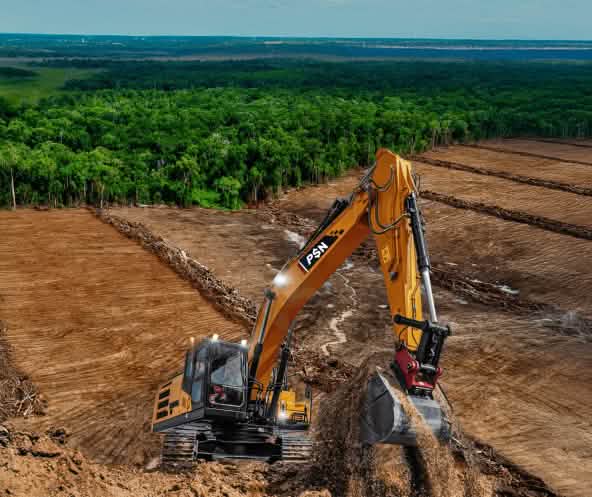 Escavatori su terreni disboscati. La foresta sullo sfondo è minacciata.