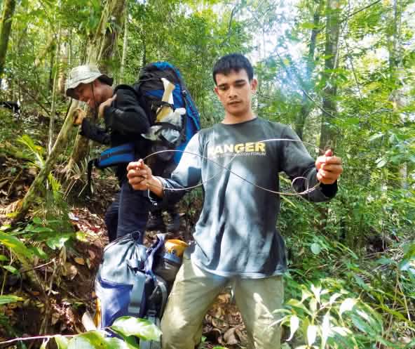 Le guardie forestali smantellano una trappola a scatto a Leuser
