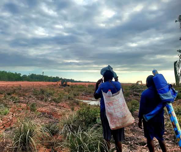 Due uomini osservano da lontano un'area disboscata per far posto a una strada