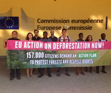 Consegnate alla Commissione Europea le firme della petizione contro la deforestazione