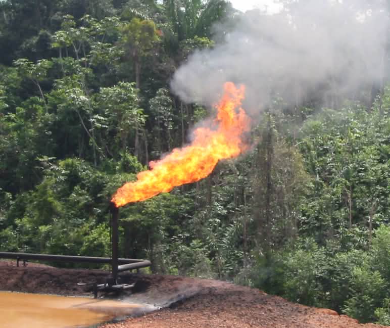 Degrado ambientale per la produzione di petrolio in Ecuador Degrado ambientale per la produzione di petrolio in Ecuador