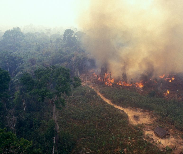 Incendio in Amazzonia Incendio nell’ Amazzonia