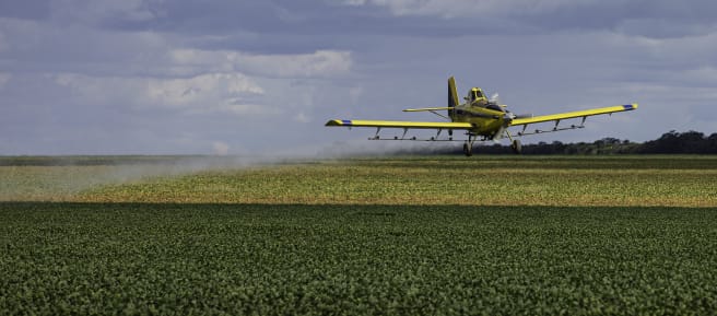 Irrorazione aerea di pesticidi sulle monocolture di soia
