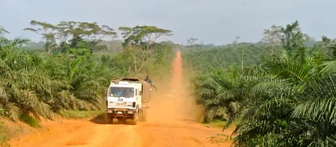 Un camion attraversa una piantagione di palma da olio in Liberia