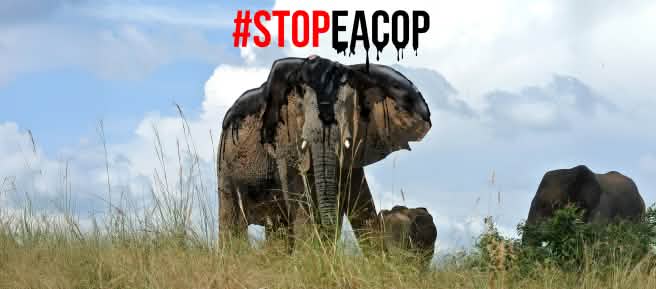 Fotomontaggio: Il petrolio è un grande pericolo per gli elefanti - #StopEACOP