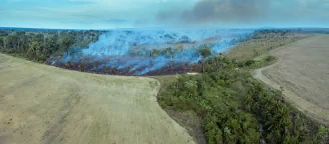 L'immagine mostra come la massiccia deforestazione per abbattimento e incendio stia aprendo la strada a nuove monocolture