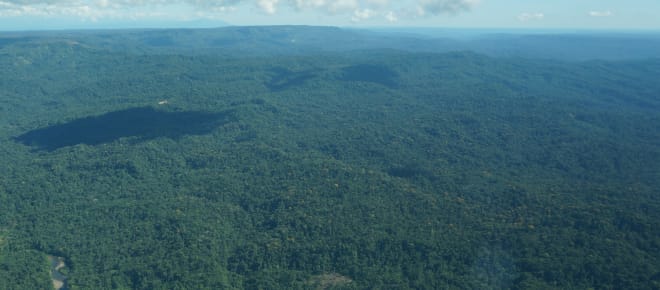 Veduta aerea della foresta degli indigeni Sápara nell'Amazzonia ecuadoriana