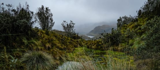 Páramos nel Parco Nazionale di Cajas, Azuay, Ecuador