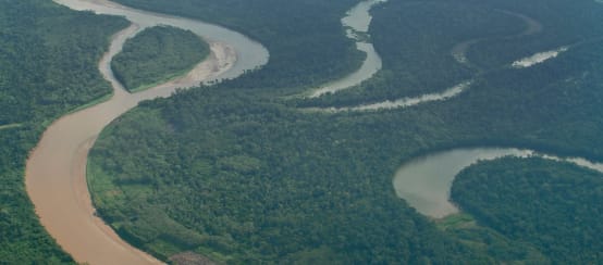 Le popolazioni indigene della remote regione amazzonica di Ucayali in Perù soffrono per l'invasione criminale dei coltivatori di coca (© Nathalie Weemaels) Un fiume nella foresta della regione Ucayali, Perù