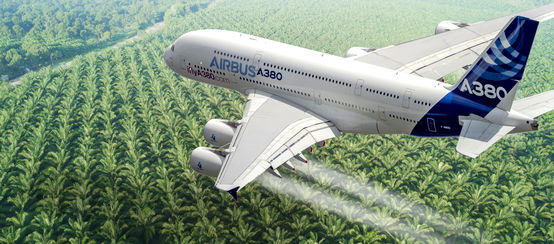 Fotomontaggio: un aereo Airbus che sorvola una piantagione di palma da olio