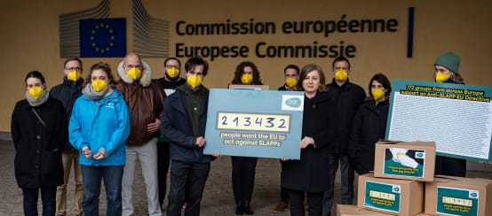 La vicepresidente della Commissione europea Věra Jourová (a destra) riceve e accetta la petizione