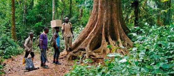 Guardiani ambientali nella foresta di Cross River, Nigeria