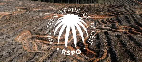 Foresta pluviale distrutta per fare spazio alle piantagioni di olio di palma (© GRAIN) Collage con il sigillo RSPO su un'area di foresta pluviale deforestata: da qui si evince come i consumatori sono stati ingannati per 19 anni.
