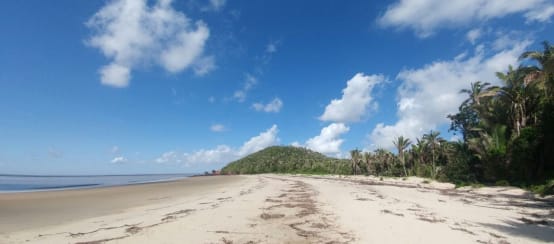 Spiaggia tropicale con palme sull'isola di Cajual