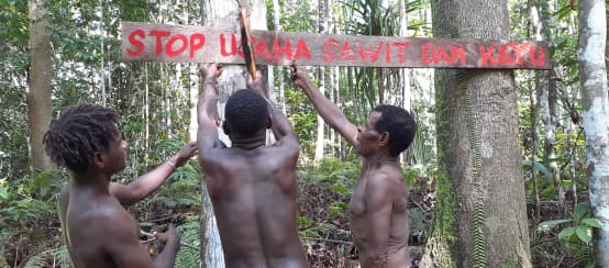 Tre indigeni papuani difendono la loro foresta con uno scudo