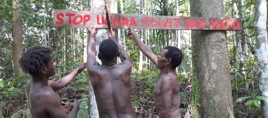 Gli indigeni papuani difendono la loro foresta dalle aziende produttrici di olio di palma e carta (© Agus Kalalu) Tre indigeni papuani difendono la loro foresta con uno scudo