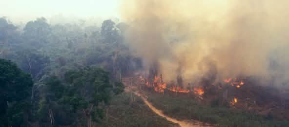 © Brasil2 / istockphoto.com Incendio nell’ Amazzonia