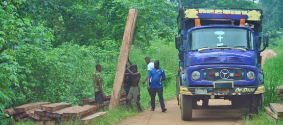 Uomini caricano tavole su un camion