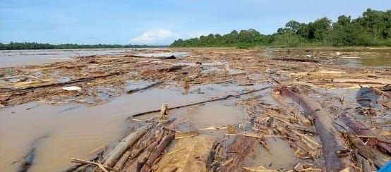 La deforestazione intasa un fiume con tronchi d'albero