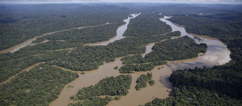 Veduta aerea del paesaggio fluviale della foresta amazzonica