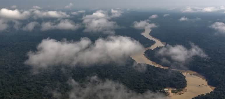 Foresta amazzonica nello stato di Pará Veduta aerea con nuvole di un fiume che serpeggia nella foresta pluviale