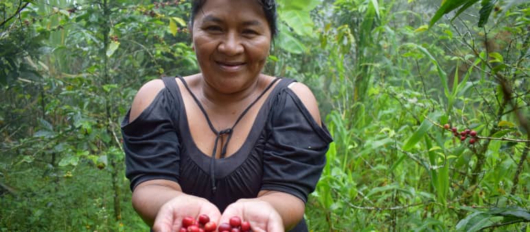 I risultati nella difesa dele foreste necessitano del sostegno imprescindibile dei popoli indigeni, della loro saggezza e conoscenza. Una donna indigena nella foresta mostra dei frutti rossi