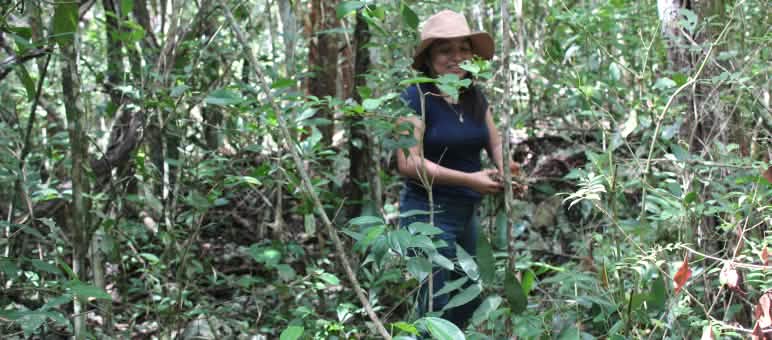 Náaybi Lu'um nella foresta dello Yucatán