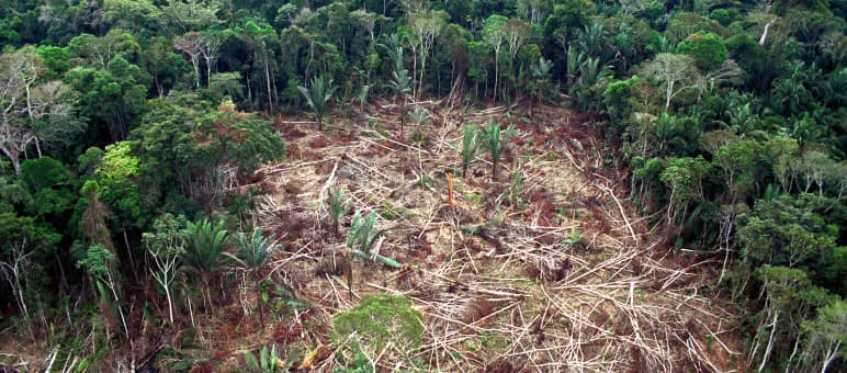 I popoli indigeni del Brasile sono tra i più colpiti dall'accordo UE-Mercosur. Deforestazione in Brasile