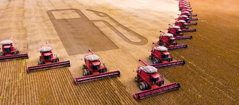 Fotomontaggio: macchinari per la mietitura in una piantagione di soia. La sagoma di una pompa di benzina è visibile nell'area raccolta. Fotomontaggio: Fotomontaggio: 15 mietitrebbie al lavoro in un campo di soia lasciano una scia a forma di pompa di benzina