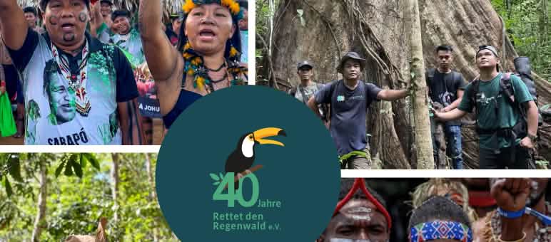 Collage per il 40º anniversario di Salviamo la Foresta