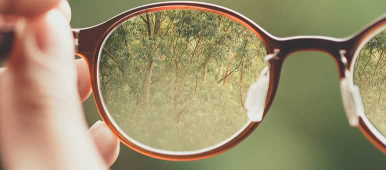 La trasparenza crea fiducia Fotomontaggio: un paio di occhiali mettono a fuoco la foresta