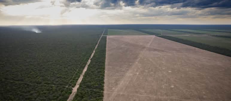 Veduta aerea della deforestazione di una vasta area di foresta nativa nella provincia del Chaco, in Argentina.
