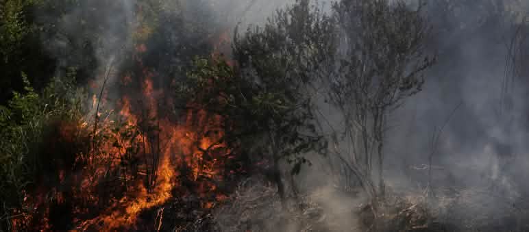 Incendio nella provincia del Chaco, Argentina