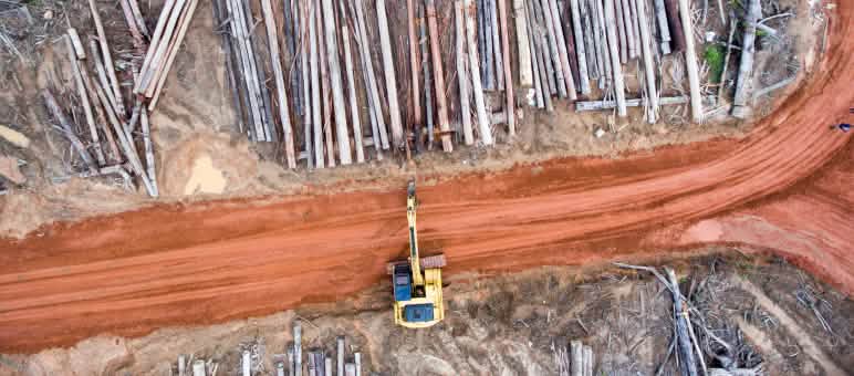 Foto aerea: Deforestazione per le piantagioni di palma da olio dell’azienda Korindo a Papua